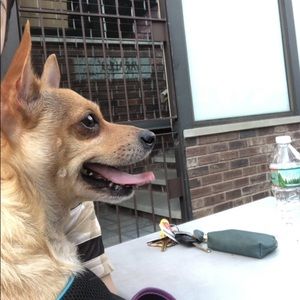 Meet your Posher, Li hong